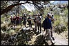 Llanganuco kloof in Huascaran park, Peru , zaterdag 20 september 2014