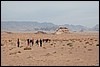 Wadi Rum - Jordanië , maandag 31 december 2007