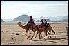 kameel rit in Wadi Rum - Jordanië , woensdag 2 januari 2008