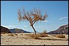 Wadi Rum - Jordanië , woensdag 2 januari 2008