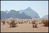 Wadi Rum - Jordanië , donderdag 3 januari 2008