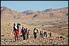 wandelend in Wadi Araba - Jordanië , woensdag 26 december 2007