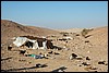 bedoeïenen kamp, Wadi Araba - Jordanië , woensdag 26 december 2007