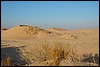 zandduienen Wadi Araba - Jordanië , donderdag 27 december 2007