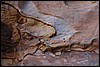 detail rots nabij Petra - Jordanië , vrijdag 28 december 2007