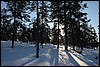 Van Suomunruoktu naar Kiilopää, Finland , zaterdag 28 februari 2015