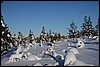 Van Suomunruoktu naar Kiilopää, Finland , zaterdag 28 februari 2015