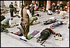 Lhasa, Tibet , woensdag 8 augustus 2001