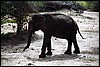 Sri Lanka , woensdag 15 september 1993