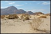Wadi Rum - JordaniÃ« , woensdag 2 januari 2008