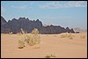 Wadi Rum - JordaniÃ« , donderdag 3 januari 2008