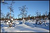 Van Suomunruoktu naar KiilopÃ¤Ã¤, Finland , zaterdag 28 februari 2015