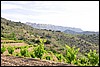 Wandeling van Poboleda naar La Morena, Spanje , maandag 28 mei 2012
