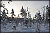 van Puikkokamppa naar Taivalkongas, Oulanka NP, Finland , maandag 7 februari 2011