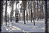 van Puikkokamppa naar Taivalkongas, Oulanka NP, Finland , maandag 7 februari 2011