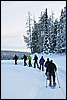 wandeling omgeving Ansakamppa, Oulanka NP, Finland , woensdag 9 februari 2011