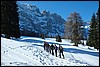 Sneeuwwandelen in de Rosengarten, ItaliÃ« , dinsdag 26 februari 2008