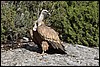 Sierra de Guara, Spanje , zondag 29 oktober 2017