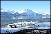 Skibotn, Noorwegen , zondag 16 maart 2014