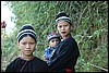 Black Hmong, Vietnam , woensdag 8 november 2006